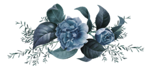 34310172_collection1 - FLOR AZUL